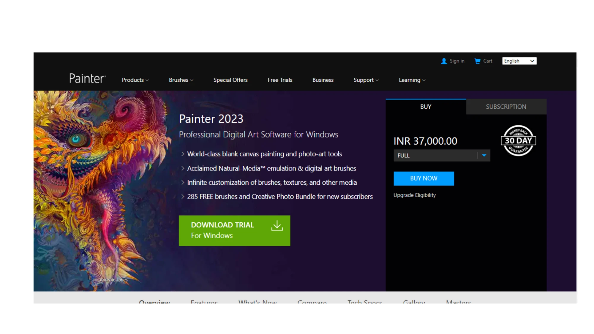 Image from Corel Painter